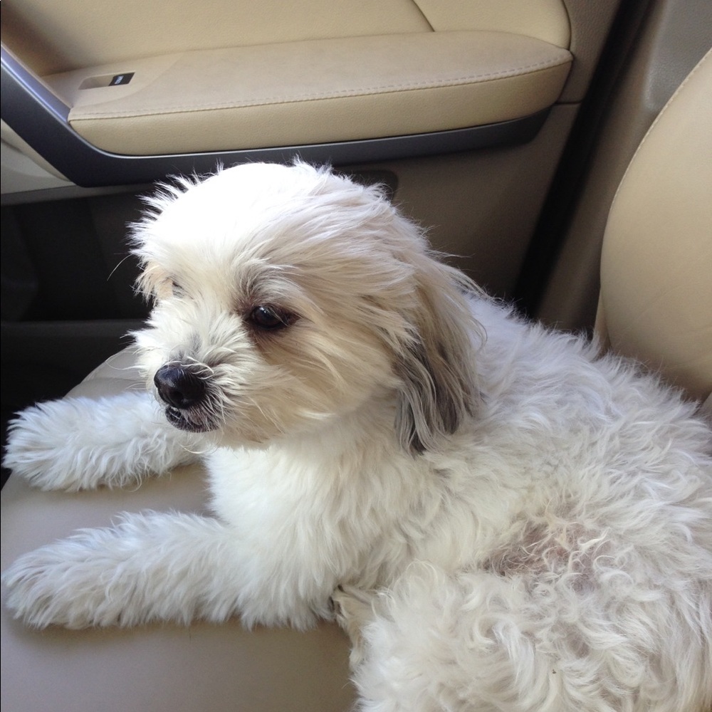 Meet your Posher, Sasarah